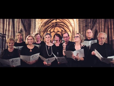 Les Z'Enfolie — Apéro