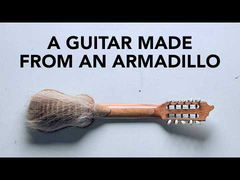 I finally got a Charango! It's a guitar made out of an armadillo shell