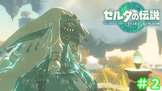 観てくれた人を笑顔にしたい女のティアキン実況＃２【ゼルダの伝説 ティアーズ オブ ザ キングダム】