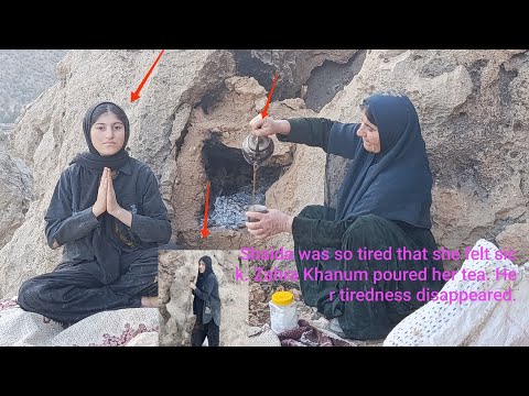 Zahra Khanum and Shaida Khanum saved the cat from death and set it free.