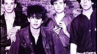 Echo and the Bunnymen Read It In Books