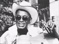 Lightnin' Hopkins, Angel child