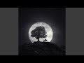 The sound of silence