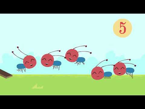 Il Castoro Costruttore  - Impariamo a contare| Cartoni per Bambini