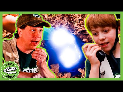 The Dinosaur Fence Is Down! | 🦖🦕 T-Rex Ranch Dinosaur Videos