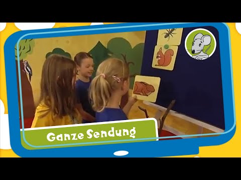 Hallo Benjamin! Tiere in unserem Wald - Fernsehsendung für Kinder