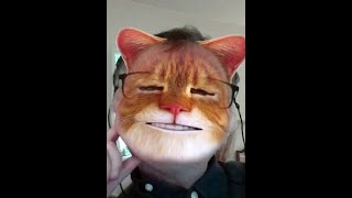 Simon Rees Mogg gets in the way