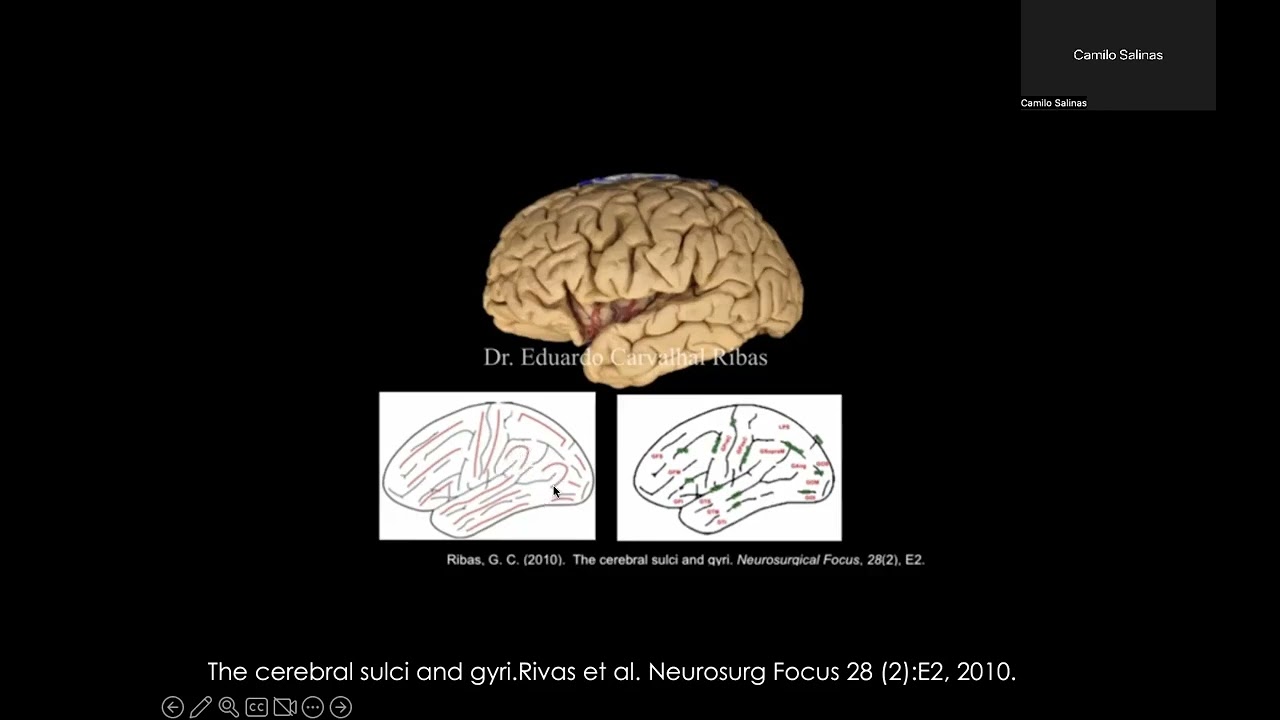 Victor Hernandez Alvarez-3