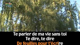 Le saule '' Isabelle Boulay''