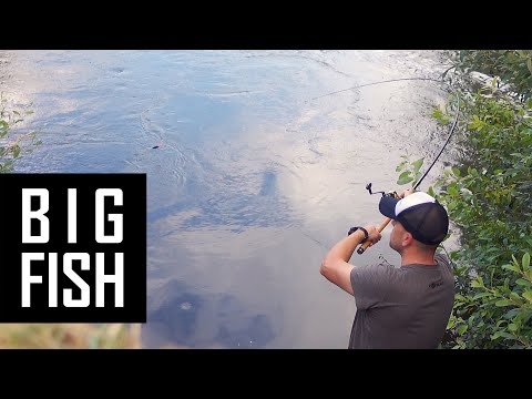 Big Barbel bagging on the float masterclass