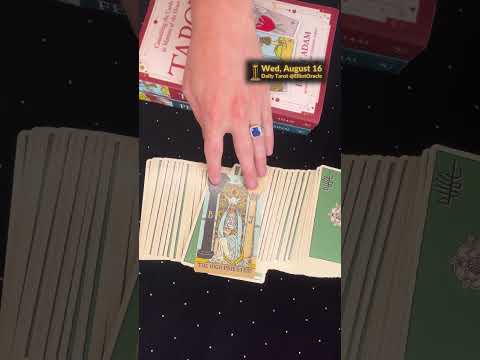 The High Priestess (Upright) 🌙✨ for August 16 | Daily Tarot Reading/Card of the Day | Elliot Oracle