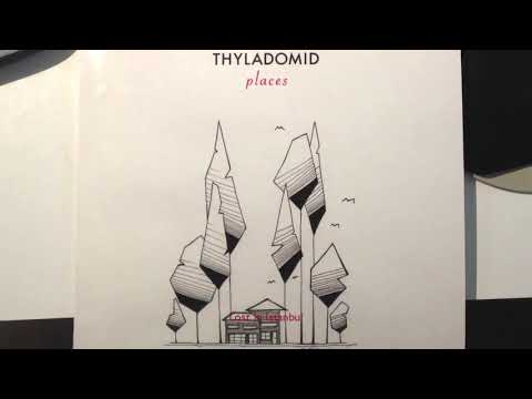 Thyladomid - Lost in Istanbul [Traum Schallplatten]