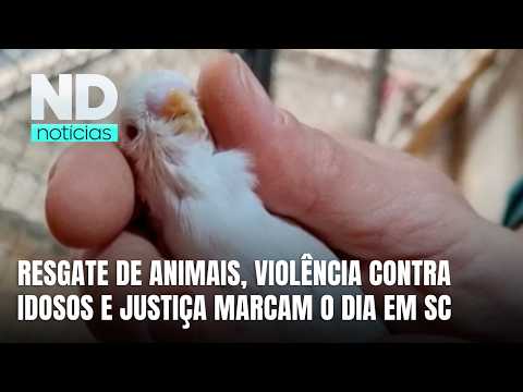 Zoológico clandestino, violência contra idosos e caso Jeff Machado em destaque
