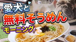 【まじモニ】そうめんが無料サービス！愛犬と一緒に行けるカフェ「ウメトサク」【喫茶店モーニング紹介】