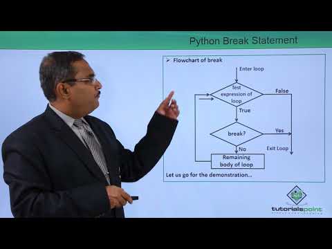 Python Break Statement