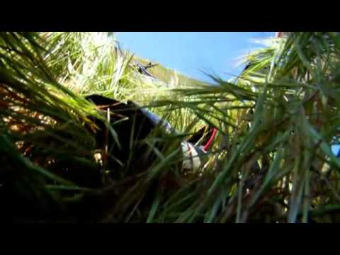 Vurb Moto's EPIC   Engle Crash 2009   YouTube