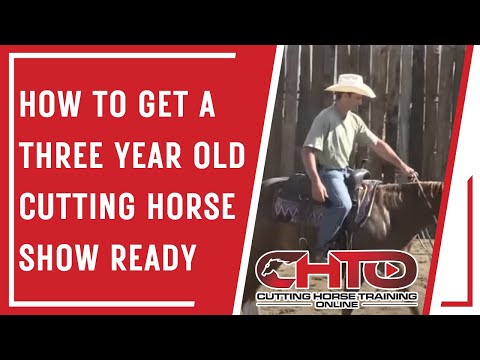How To Get a Three Year Old Cutting Horse Show Ready