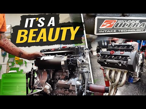 K-SERIES Skunk 2 Racing Ultra Intake Manifold Installed  (1st Place 🏆)