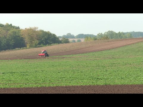 2022.10.07. Megjelentek a topolyai önkormányzat mezőgazdasági pályázatai