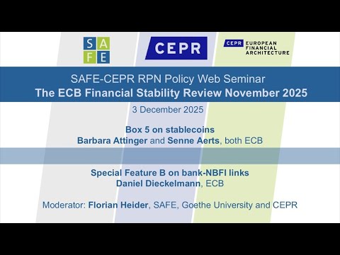 SAFE-CEPR Web Seminar "ECB November 2025 Financial Stability Review"