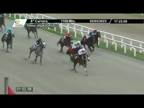 230505 c08 - TROPIK TOUCH - HIPODROMO LAS PIEDRAS