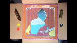 Muddy Waters &quot;Trouble No More&quot; 1974
