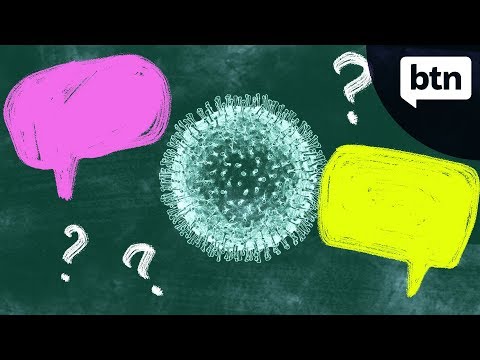 冠狀病毒問題 - 新聞背後 (Coronavirus Questions - Behind the News)