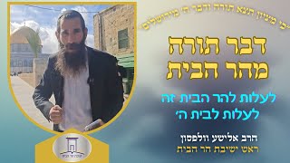 לעלות להר הבית זה לעלות לבית ה׳ | הרב אלישע וולפסון  (ישיבת הר הבית) - התמונה מוצגת ישירות מתוך אתר האינטרנט יוטיוב. זכויות היוצרים בתמונה שייכות ליוצרה. קישור קרדיט למקור התוכן נמצא בתוך דף הסרטון