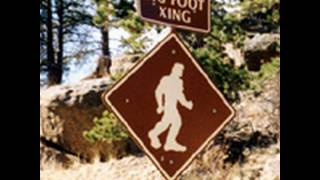 The Last Emperor - The Jungle Cats