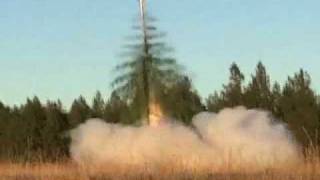 Tree Rocket