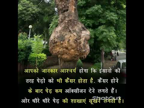 @quick_tips123 !! Short Film Video !! #5385* ❤️#shorts ❣️