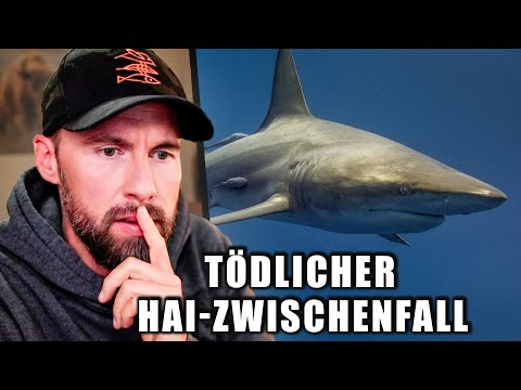 30 Jährige stirbt nach Hai-Zwischenfall - Was ist passiert? | Robert Marc Lehmann