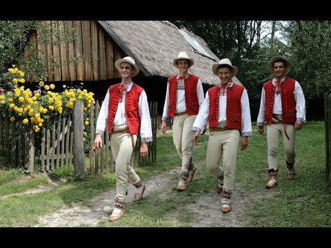 Jedliniok -  Piloreczka