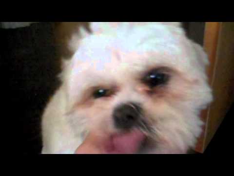 Happy Birthday Miss Tammy!