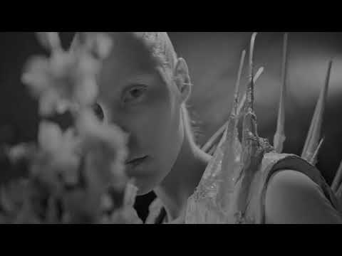 Absorb The White Noise : Ambient Light × Greencyde