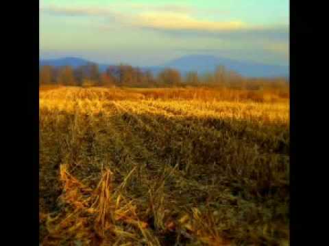 Ajs Nigrutin - Njiva (Seljacki Geto)