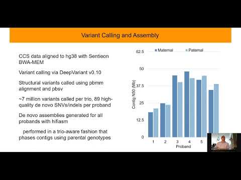 Long read Genome Sequencing for the Molecular Diagnosis of Neurodevelopmental Disorders