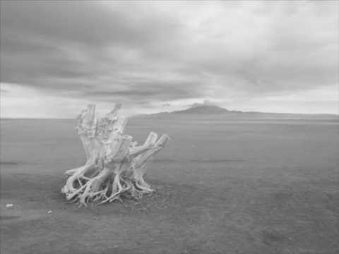 Jacob Duncan, John Goldsby, & Craig Wagner- Backyard Self Portrait