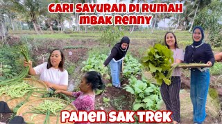 Download lagu NIAT KU KESINI RAMPOK SEISI KEBUN NYA MBAK RENNY😁 mp3 Download lagu NIAT KU KESINI RAMPOK SEISI KEBUN NYA MBAK RENNY😁 mp3