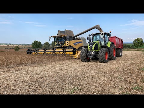 ŽNĚ 2021   SKLIZEŇ SOJI New Holland CX 8 85 , Claas Axion 850