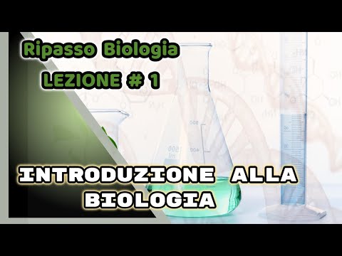 I helikobakteriya sono un parassita Quali farmaci bere da lyambliya