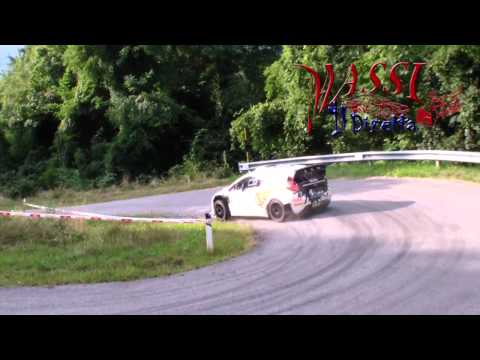 21° Rally Valli Cuneesi 2015 - IRC - Pure Sound [HD]