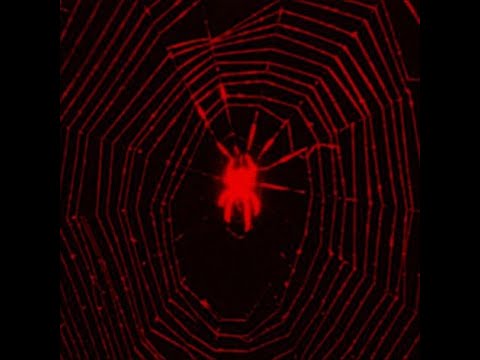 OstalsyaDoma - Resident Evilll (YEAT x lancey foux x redda type beat)