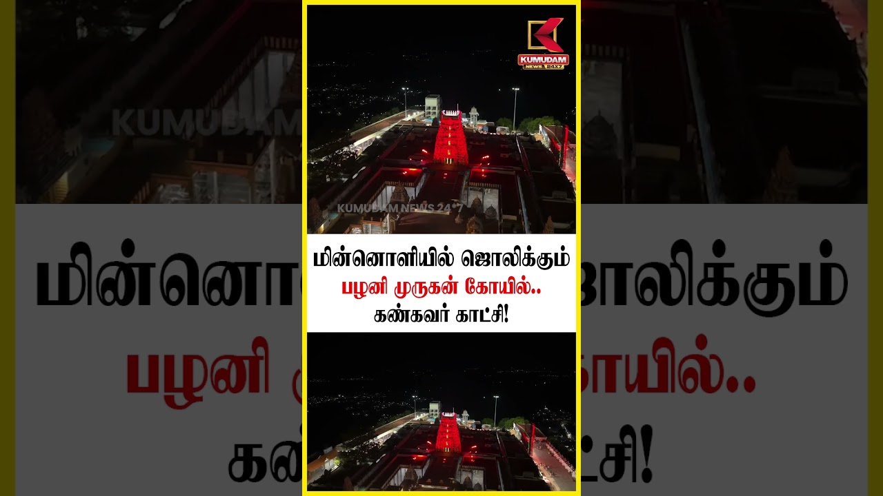 மின்னொளியில் ஜொலிக்கும் பழனி முருகன் கோயில்.. கண்கவர் காட்சி! | Palani Temple | Kumudam News மின்னொளியில் ஜொலிக்கும் பழனி முருகன் கோயில்.. கண்கவர் காட்சி! | Palani Temple | Kumudam News