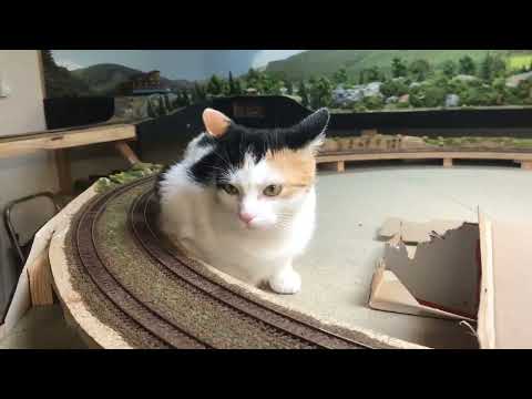 Pendelstrecke Märchenwald ESU ECOS 4.2.13