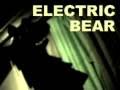 ELECTRIC BEAR detroit artspace 2004