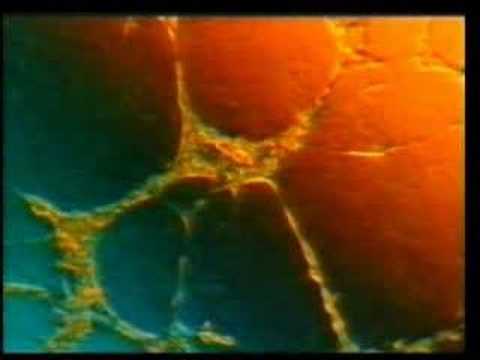 Dokumentar Islam -  Ndryshimi