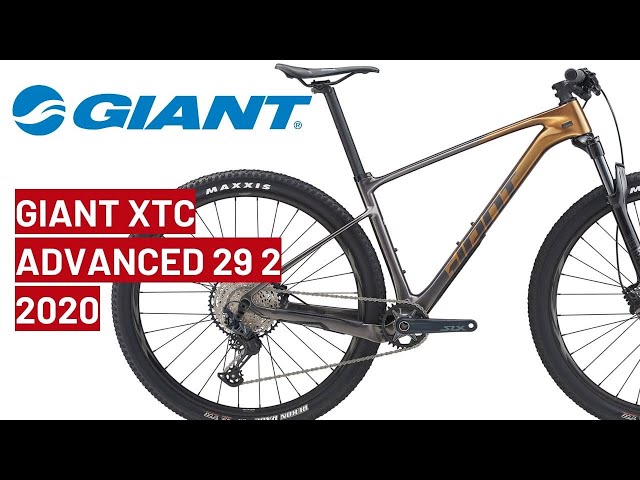 Велосипед Giant XTC Advanced 29 2 Metallic Gold/Metallic Black Золотой  2001050106 - отзывы, видео, инструкция. 2020 год Горные велосипеды MTB :  Велосипедный магазин VeloOnline