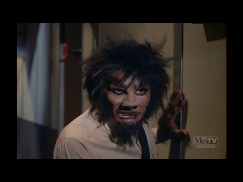 Voyage To The Bottom of the Sea S4E20 "Man Beast" FULL HDTV Episode - David Hedison's Favorite!