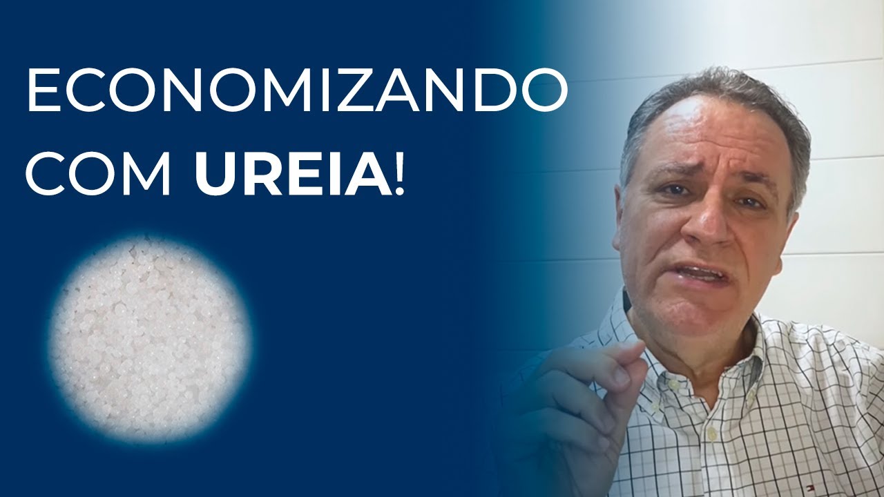 Impactos financeiros com o uso de ureia!